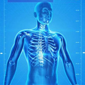 10 حقیقت شگفت انگیز در مورد بدن انسان