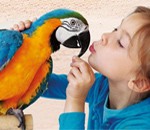 تدریس خصوصی ریاضی در بابل