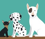 تدریس خصوصی ریاضی در بابل