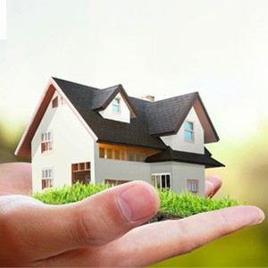 سرمایه‌گذاری در زمین‌های شمالی: فرصت‌های طلایی برای افزایش دارایی